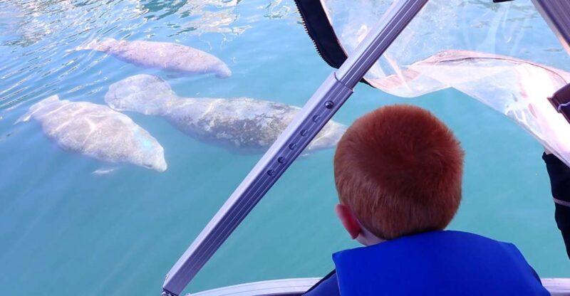 River Cruise with Manatee Viewing - What to Expect on the River Cruise
