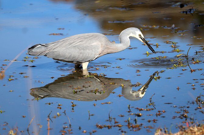 River Guru Rio Grande Mindfulness Adventure( remotely hosted) - FAQs