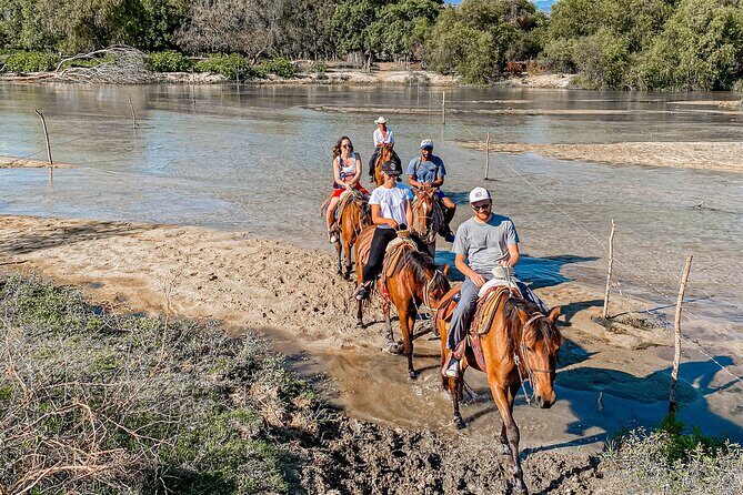 River Trail Horseback Riding Adventure - Final Thoughts: Is This Tour Right for You?