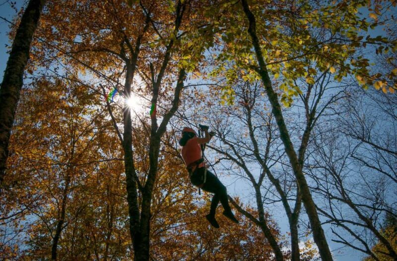 River Ziplines - Nature Tours - What To Expect at Each Stage