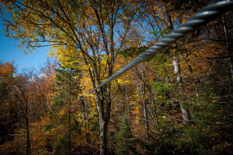 River Ziplines - Nature Tours - The Reviews Say It All