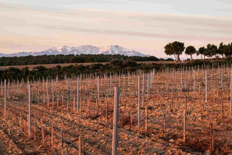 Rivesaltes - Secrets du Terroir and Unique Wine Tasting! - FAQ
