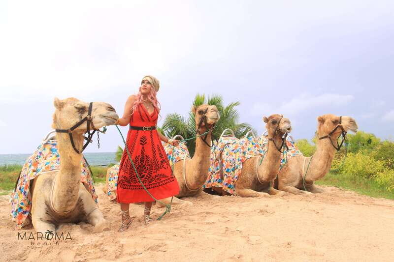 Riviera Maya: Camel Caravan Expedition and Beach Club Access - Practical Tips for Your Trip