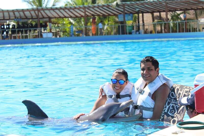 Riviera Maya: Dolphin Encounter with Beach Club Access - An Honest Look at the Dolphin Encounter Experience