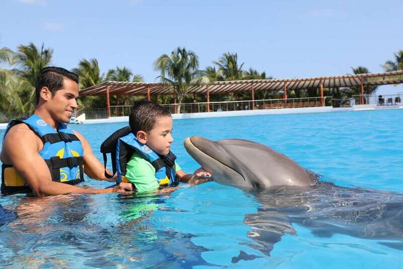 Riviera Maya: Dolphin Encounter with Beach Club Access - FAQs