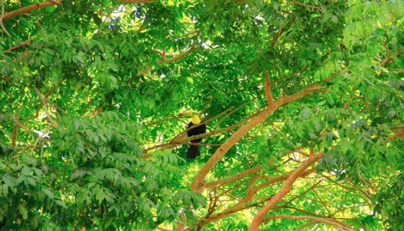 Riviera Maya: Horseback Riding at Rancho Bonanza - Possible Drawbacks to Keep in Mind