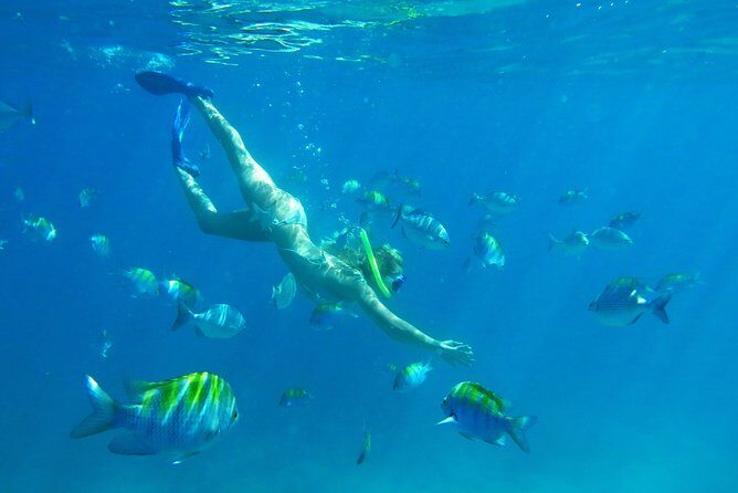 Riviera Maya Luxury Snorkeling Cruise with Lunch and Drinks - Practical Details and Considerations
