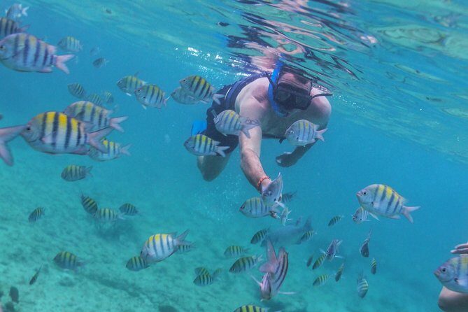 Riviera Maya Luxury Snorkeling Cruise with Lunch and Drinks - Is This Tour Right for You?