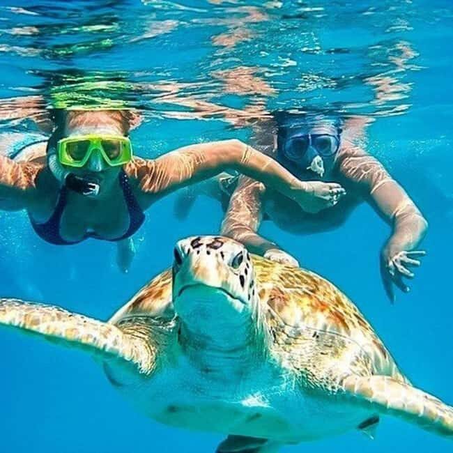 Riviera Maya: Nado con Tortugas, Cenote y Almuerzo mexicano. - FAQ