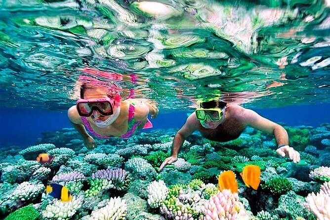 Riviera Maya Snorkeling - Getting a Feel for the Experience