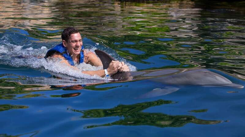 Riviera Maya: Swim with dolphins Interax - What to Expect from the Dolphin Encounter