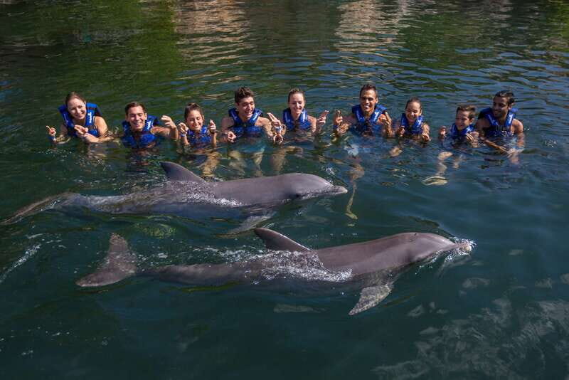 Riviera Maya: Swim with dolphins Interax - Location and Accessibility