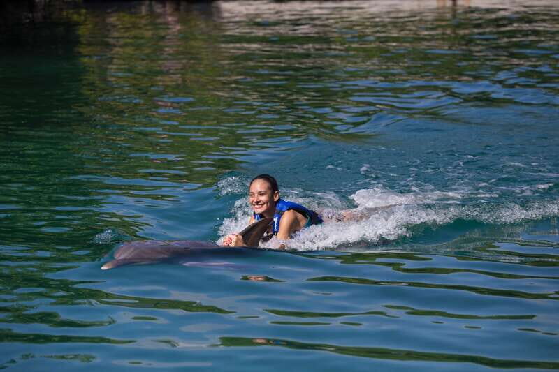 Riviera Maya: Swim with dolphins Interax - What the Reviews Say