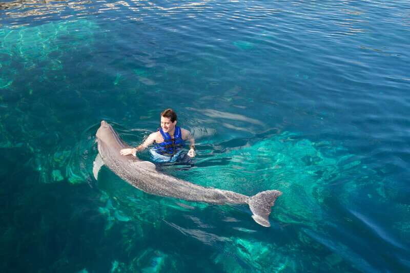 Riviera Maya: Swim with dolphins Interax - Who Should Consider This Tour?