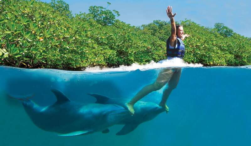 Riviera Maya: Swim with dolphins Primax - Diving Into the Experience: What You Should Expect