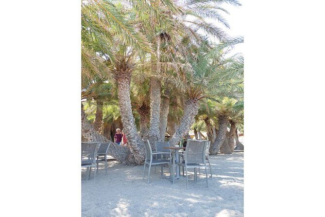 RIVIERA - Vai Palm Beach, Toplou Monastery - Final Thoughts