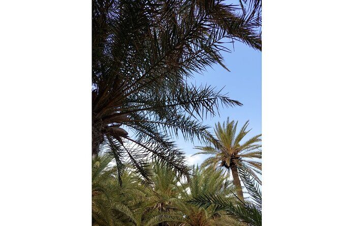 RIVIERA - Vai Palm Beach, Toplou Monastery - FAQs about the Riviera Tour to Vai & Toplou Monastery