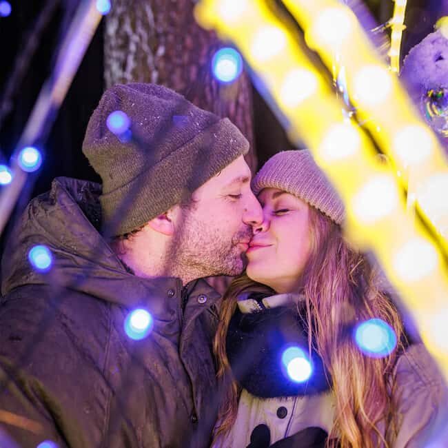 Rixensart: Garden of Lights Entry Ticket - Key Points