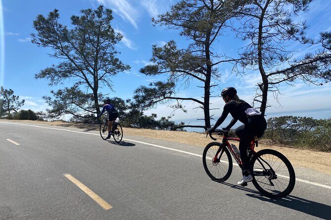 Road Bike Ride - designed for serious cyclists - An In-Depth Look at the La Jolla Bike Tour