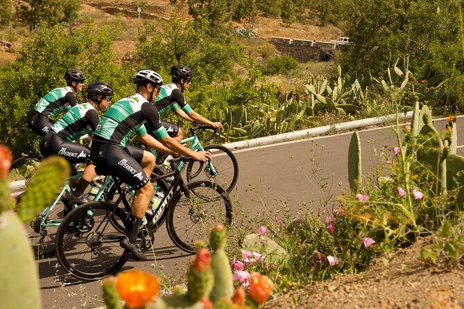 Road Cycling Tenerife - Vilaflor Route - A Closer Look at the Vilaflor Cycling Experience