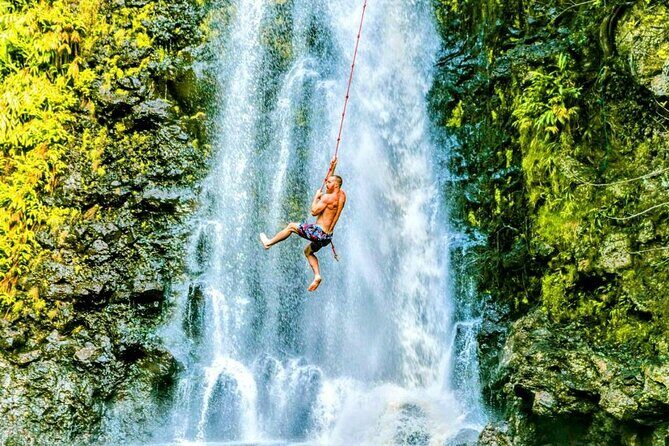 Road To Hana Black Sand Beach Waterfalls & Turtles Tour - Who Is This Tour Best For?