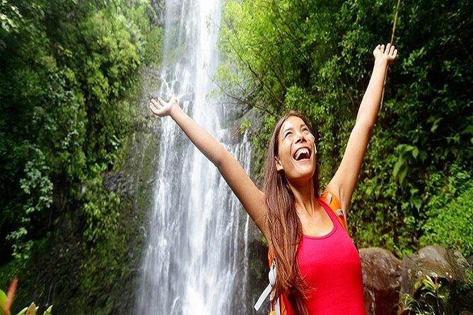 Road to Hana Deluxe Rainforest and Waterfall Experience from Maui - What Makes This Tour Stand Out?