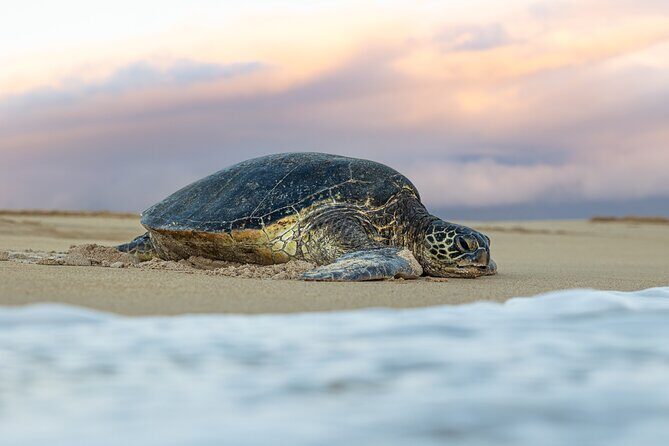 Road to Hana Halfway and Haleakala National Park - A Deep Dive into the Experience