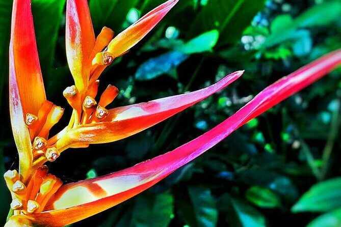 Road to Hana Halfway Tour - Final Thoughts