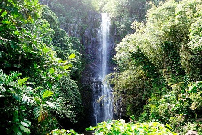 Road to Hana in Mercedes Van: Waterfalls and Black Sand Beach - Who Is This Tour Best For?