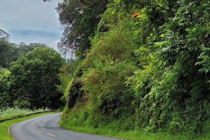 Road to Hana Private Full Day Tour - Is It Worth the Price?
