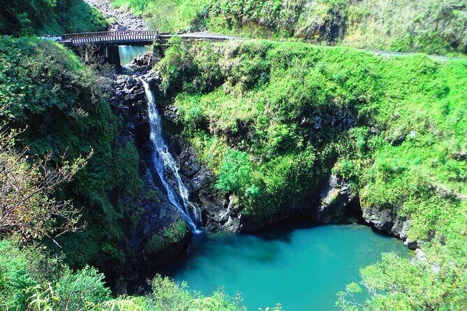 Road to Hana Private Jungle Tour - What Makes This Tour Stand Out?