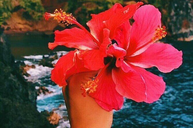 Road To Hana Tour with GO PRO 10 Videography - What You Can Expect from This Road to Hana Tour