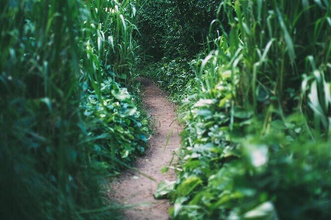 Road To Hana Tour with GO PRO 10 Videography - Final Thoughts