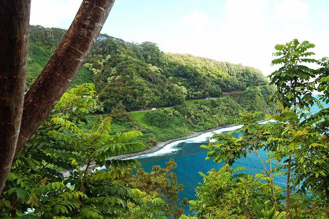 Road to Hana Tour with Lunch and Pickup - Who Is This Tour Best For?