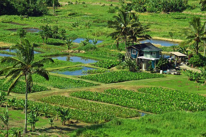 Road to Hana Tour with Lunch and Pickup - The Sum Up
