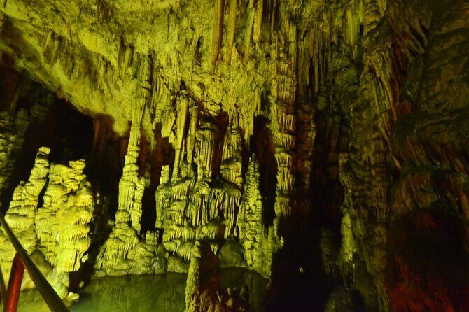 Road-trip to Lasithi: Vidiani, Krasi, Olive Mill Farm, Lasinthos - Final Thoughts