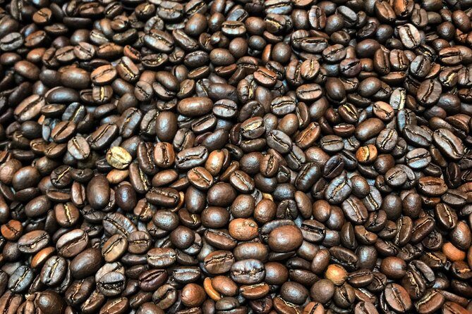 Roasting Experience at 14th Coffee Co - Who Will Enjoy This?