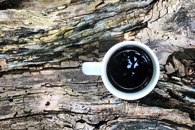 Roasting Experience at 14th Coffee Co - FAQs