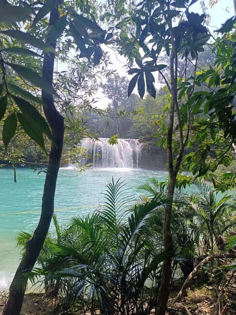 Roberto Barrios Waterfalls from Palenque - What to Expect at the Waterfalls