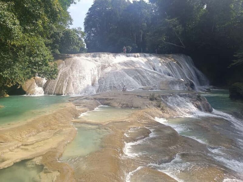 Roberto Barrios Waterfalls from Palenque - The Price and What You’re Getting