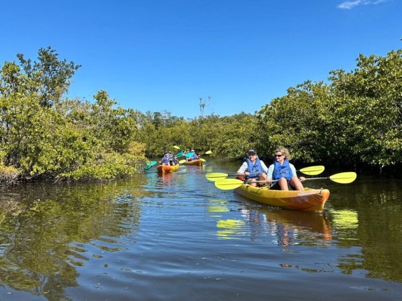 Robinson Preserve Mangrove Tour - FAQs