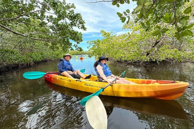 Robinson Preserve Mangrove Tour - What to Expect from the Robinson Preserve Mangrove Tour
