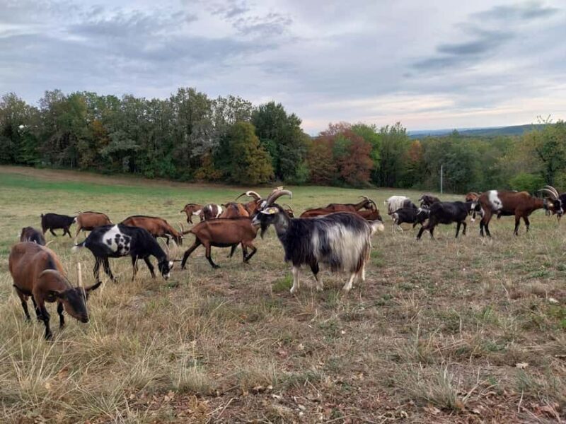 Rocamadour: Travel sketchbook - Final Thoughts: Is It Worth It?