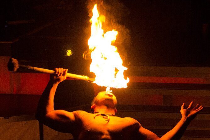 Rock-A-Hula Ticket - Who Is This Tour Perfect For?