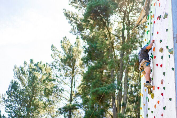 Rock Climb, Zipline and Mega Swing Experience - Real Traveler Feedback