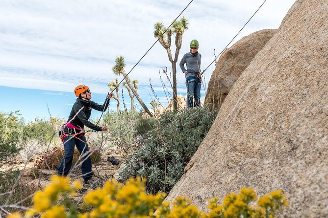 Rock Climbing Trips in Joshua Tree National Park (6 Hours) - What You Can Expect from the Climbing Tour