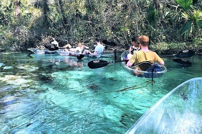 Rock Springs 2-Hour Glass Bottom Guided Kayak Eco Tour - What Makes This Tour Special?
