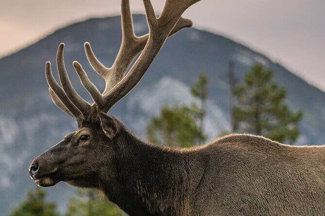 Rocky Mountain Full Day Private Tour & Hike - Authentic Traveler Insights