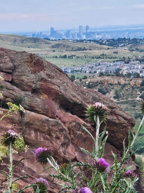 Rocky Mountain HIGH: Cannabis Mountain Tour - What Could Be Improved?