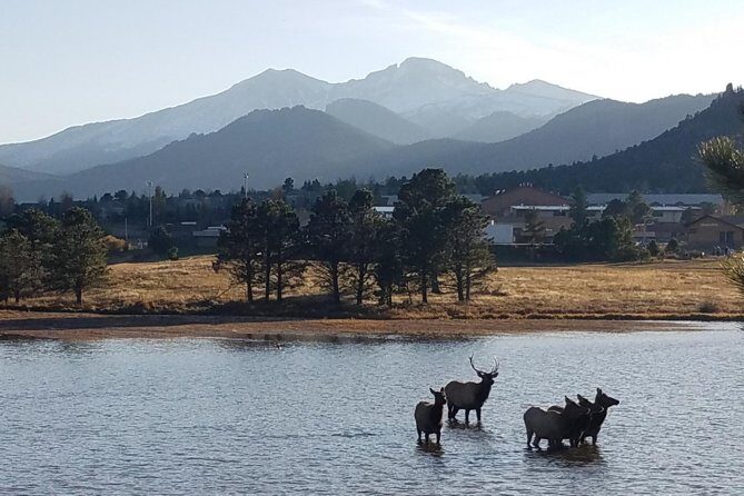 Rocky Mountain National Park and Estes Park Tour from Denver Winter and Spring - An In-Depth Look at the Tour Experience